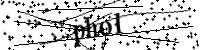 Veuillez saisir les lettres et les chiffres ci-dessous