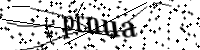 Si prega di digitare le lettere e i numeri qui sotto