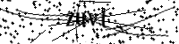 Si prega di digitare le lettere e i numeri qui sotto