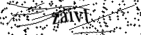 Veuillez saisir les lettres et les chiffres ci-dessous