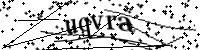 Veuillez saisir les lettres et les chiffres ci-dessous
