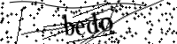 Por favor, escriba las letras y los números siguientes