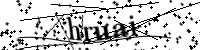 Por favor, escriba las letras y los números siguientes