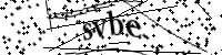Por favor, escriba las letras y los números siguientes