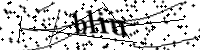 Por favor, escriba las letras y los números siguientes