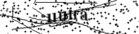 Por favor, escriba las letras y los números siguientes