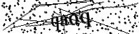 Por favor, escriba las letras y los números siguientes