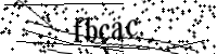 Si prega di digitare le lettere e i numeri qui sotto