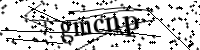 Por favor, escriba las letras y los números siguientes