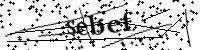 Si prega di digitare le lettere e i numeri qui sotto
