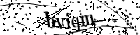Por favor, escriba las letras y los números siguientes