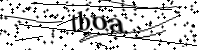 Por favor, escriba las letras y los números siguientes