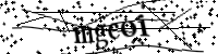 Por favor, escriba las letras y los números siguientes