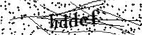 Veuillez saisir les lettres et les chiffres ci-dessous