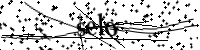 Por favor, escriba las letras y los números siguientes